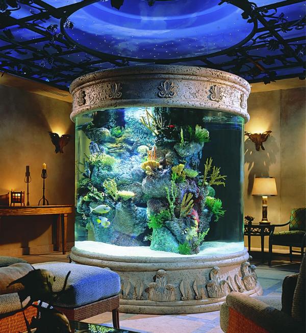 Invite good luck with Aquariums