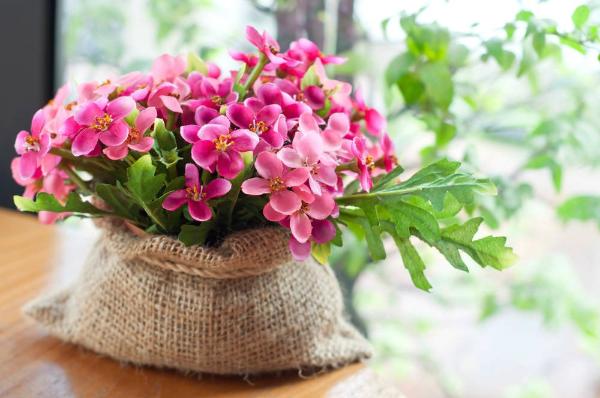 Where Flowers bloom, so does Hope Where Flowers bloom, so does Hope
