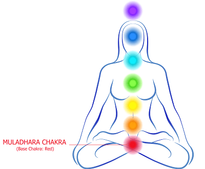 The secrets behind Chakras of Human Body