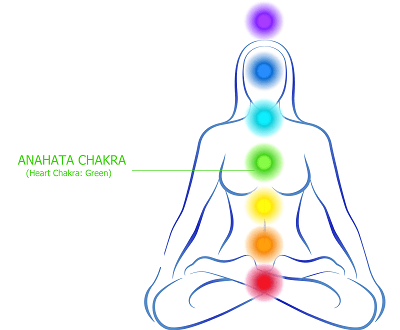 The secrets behind Chakras of Human Body