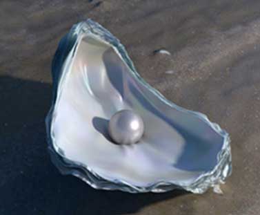 What are the Benefits of Pearl?