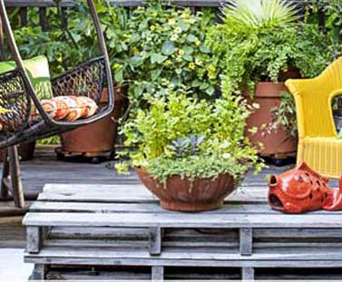 Vastu Tips for a Healthy and Green Garden