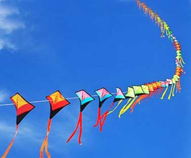 Significance of Makar Sankranti 2021