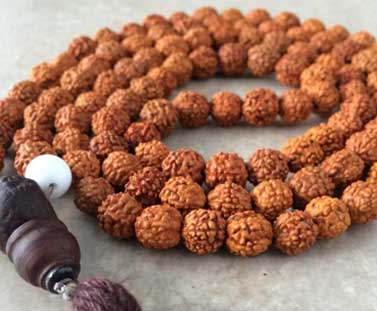 RUDRAKSHA MALA: Why is it Holy?