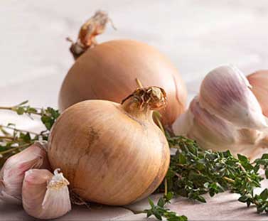 Why are you not supposed to have Onions and Garlic during Navratri?