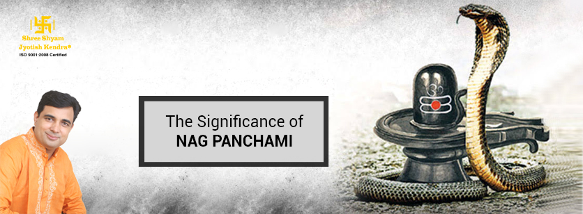 What Is The Significance Of Nag Panchami