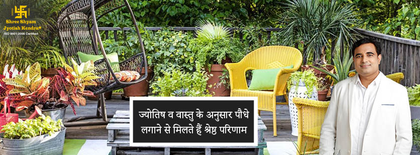 ज्योतिष व वास्तु के अनुसार पौधे लगाने से मिलते हैं श्रेष्ठ परिणाम