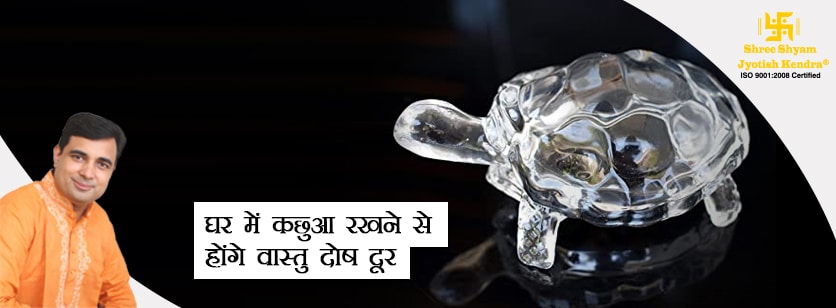 घर में कछुआ रखने से होंगे वास्तु दोष दूर और होगी धन की वर्षा