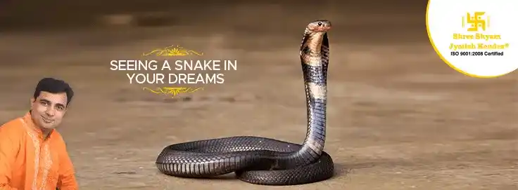 Seeing Snake in Dreams? Here is the Astrological Interpretation for You!