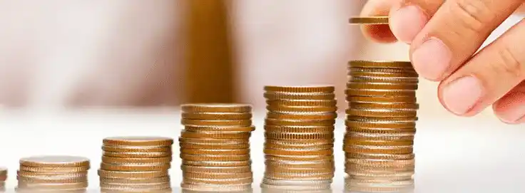 Wealth & Property