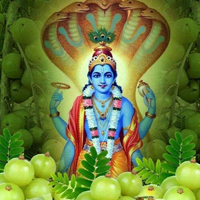Amalaki Ekadashi