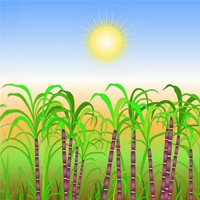 Mesha Sankranti