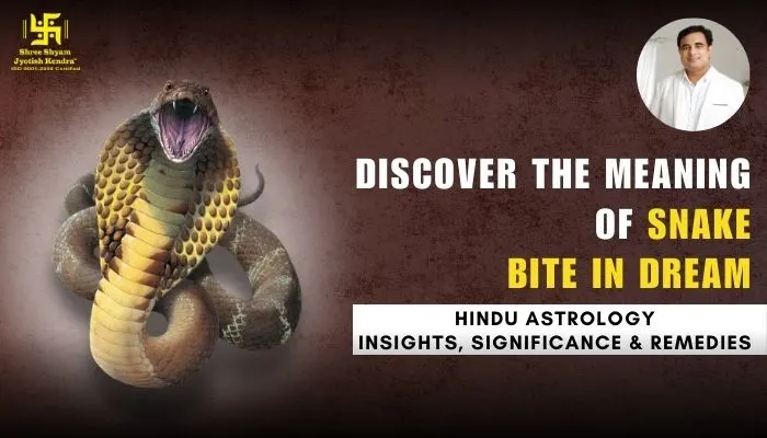 Discover the Meaning of Snake Bite in Dream: Hindu Astrology Insights, Significance & Remedies