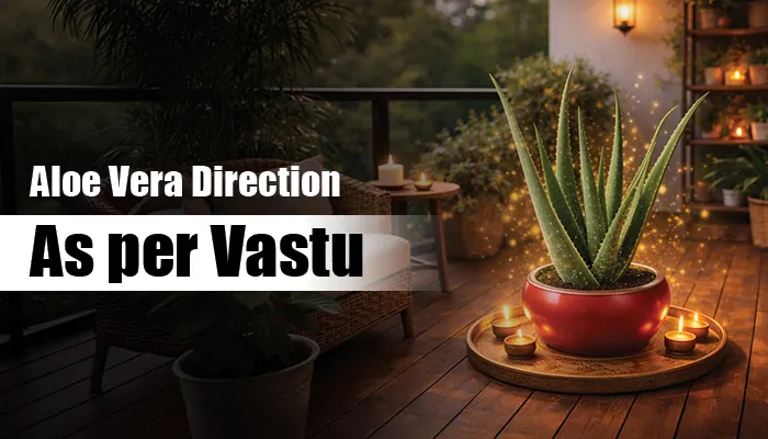 Vastu Placement Guidelines for Aloe Vera Vastu Placement Guidelines for Aloe Vera