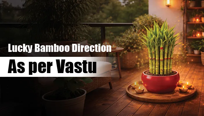 Vastu Placement Guidelines for Bamboo Vastu Placement Guidelines for Bamboo
