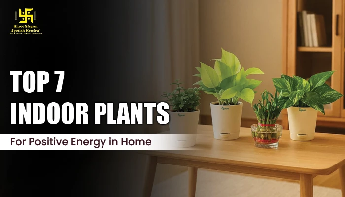 Top 7 Indoor Plants That Bring Positive Energy in Home As Per Vastu