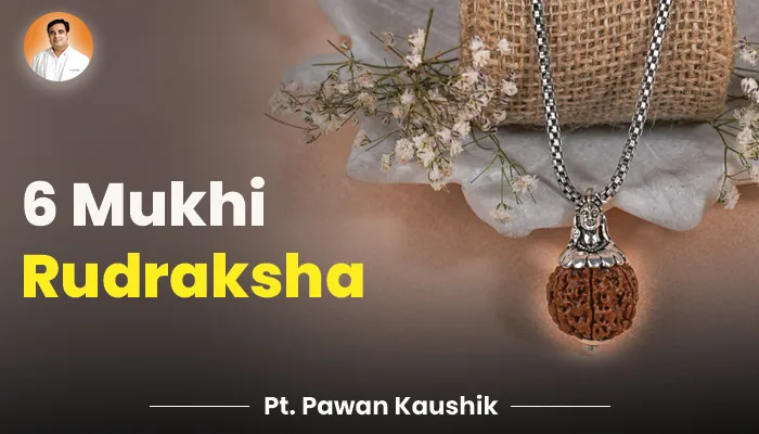 6 mukhi rudraksha
