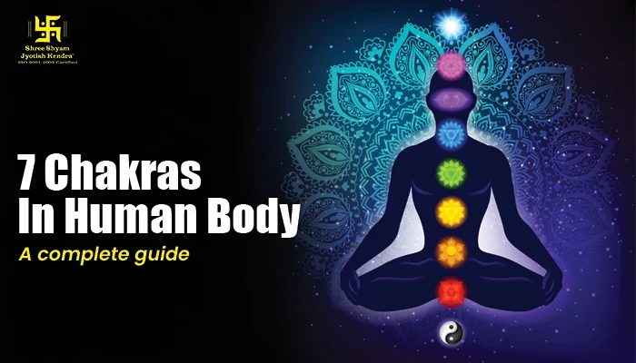 7 Chakras in Human Body and Their Significance: A Complete Guide 7 Chakras in Human Body and Their Significance