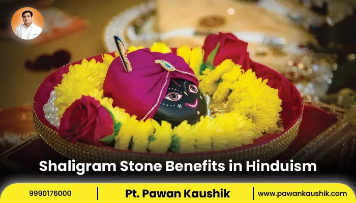 Shaligram Stone Benefits