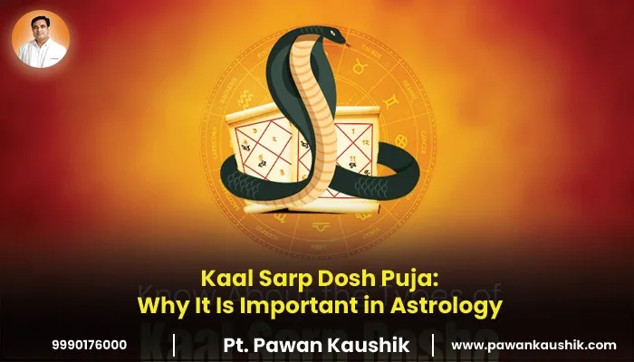 Kaal Sarp dosh Puja