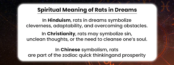 Spiritual Meaning of Rats in Dreams