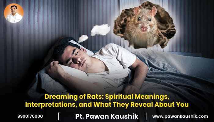 Dreaming of Rats meaning