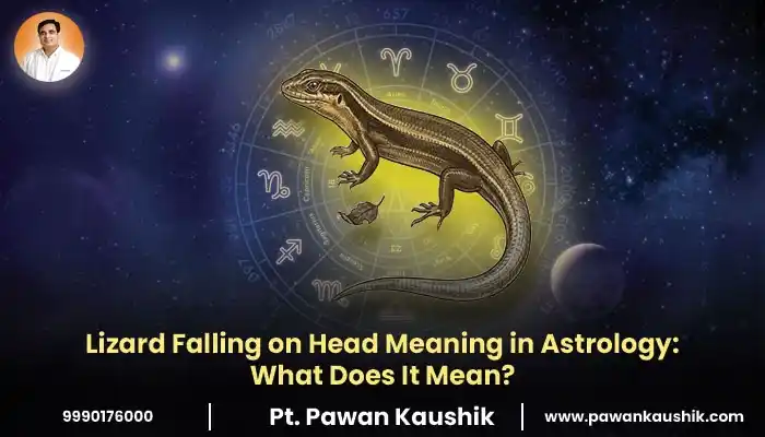 Lizard Falling on Head​ Meaning in Astrology: What Does It Mean?