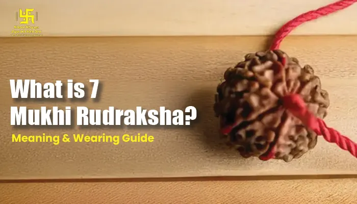 What is 7 Mukhi Rudraksha? Benefits of 7 Mukhi Rudraksha, Meaning & Wearing Guide