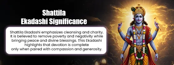 Significance of Shattila Ekadashi