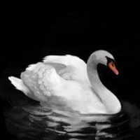 Sarva Pitru Amavasya October 10 2026