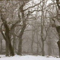 Shortest Day of Year December 2026