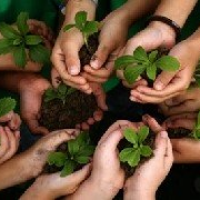 World Environment Day 2026